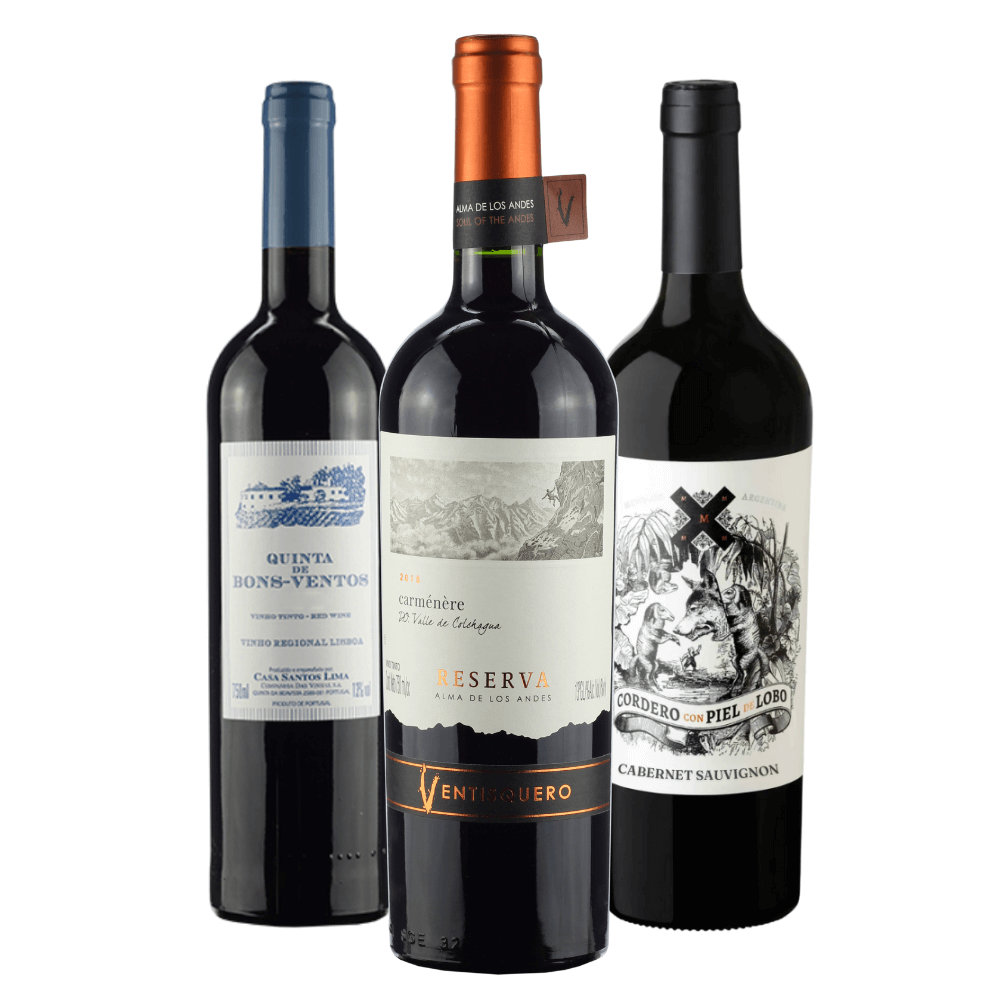 Kit Ventisquero The Best of the Best 2020